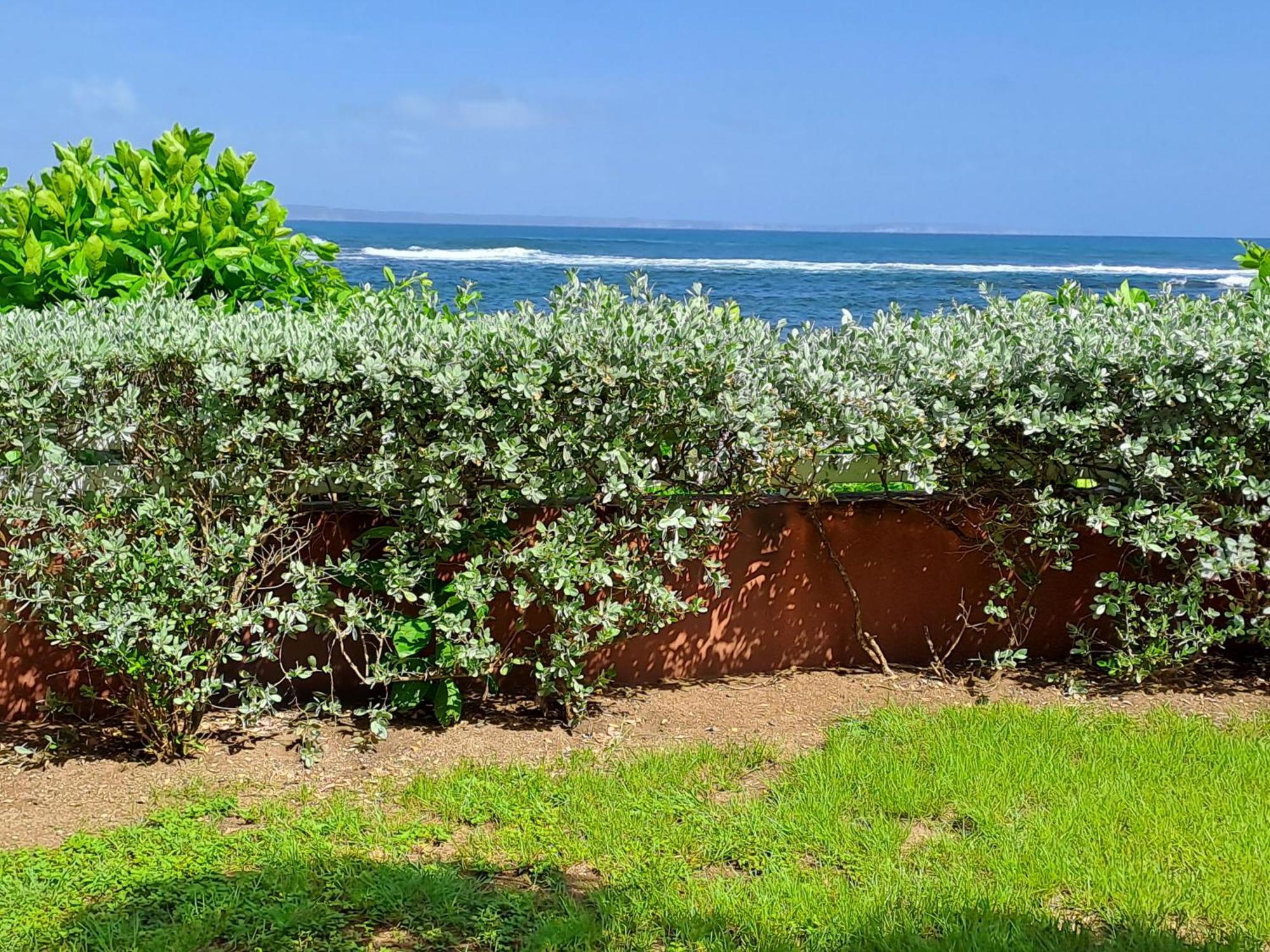 Rdc Appartement En Bord De Mer Au Son Des Vagues Le Moule Ngoại thất bức ảnh
